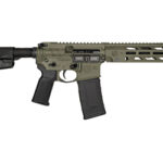 DBF DB15OBS 300BLK 10" 30RD ODG BRC 2 DBF1984B101 1