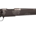 stainless20bcca