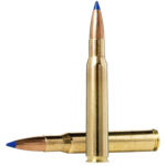 Norma Ammunition 20176102 Dedicated Hunting Bondstrike 300RUM 180gr Bonded Polymer Tip 20 Per Box/10 Case 1 156084