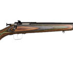 Chipmunk 00005 Gen2 22 LR 1rd 16.10" Blued Tapered Single Shot Barrel, Fixed Camo Laminate Stock 2 174818