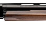 Winchester Repeating Arms 512480691 SXP High Grade 20 Gauge Pump 3" 5- 2.75" Shells 26" Black Chrome Vent Rib Barrel, Engraved Gloss Blued Aluminum Receiver, Fixed Grade II Oiled Walnut Stock, Invecto 1 191572