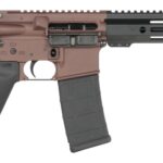 Shark Coast Tactical SCC07190HOLM-P Holmes 5.56 NATO 30+1 10.50" Black Nitride Threaded Barrel, Aluminum Receiver w/Picatinny Rail, M-LOK Handguard, Polymer SB Tactical SBA3 Brace, Polymer Grip 1 198598
