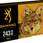Browning Ammo B192302431 BXV Predator & Varmint 243Win 65gr Varmint Expansion Polymer Tip 20 Per Box/10 Case 1 23892