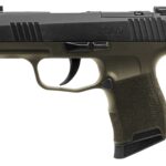 SIG SAUER P365 9MM NIT 10+1 XRAY BL/ODG 2 365FS