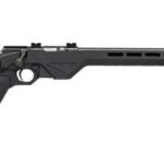 LSI CITADEL TRAKR 22WMR 21 BBL 1 682146832044