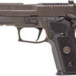 SIG SAUER P229 LEGION 9MM SAO 3-10RD MAG OPTIC RDY 1 722739 14240529
