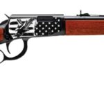 ROSSI RIO BRAVO 22 LR 18IN BARREL 15RD BLACK/HARDWOOD E22 USF EAGLE RL22181WD-EN22 2 754908900688