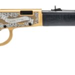 ROSSI RIO BRAVO 22LR 18IN BARREL 15RD CK GL/HW REAGAN RL22181WD-GLD2RR 1 754908900879