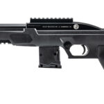 ROSSI RS22 PISTOL 22LR 6" 10RD BLK 2 BRZRS22P6BK 1