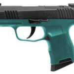 SIG SAUER P365 9MM NIT 10+1 XRAY BL/TEAL 1 P365BB