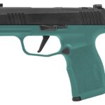 SIG SAUER P365X 9MM NITRON 3.1" 12+1 TL 1 P365XBB