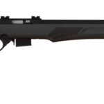 ROSSI RB22M 22MAG BLK/SYN 21" 5+1 2 RB17H2111