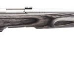 SAVAGE ARMS B.MAG 17WSM SS/LAM THBHL HVBBL 2 SVBMAGTHHB17WSM