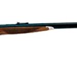 CHIAPPA SHARPS DOWNUNDER 45/70 920.002 2 W091 920.028