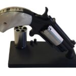 NAA 22WMR/22LR 1" DUKE BLK/SS CAMFOUR EXCLUSIVE 1 W561 00363