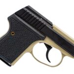 SEECAMP LWS-380 2" 380ACP BSAND 6R 2 W741 31385