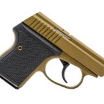 SEECAMP LWS-380 2" 380ACP MOLIVE 6 1 W741 31392