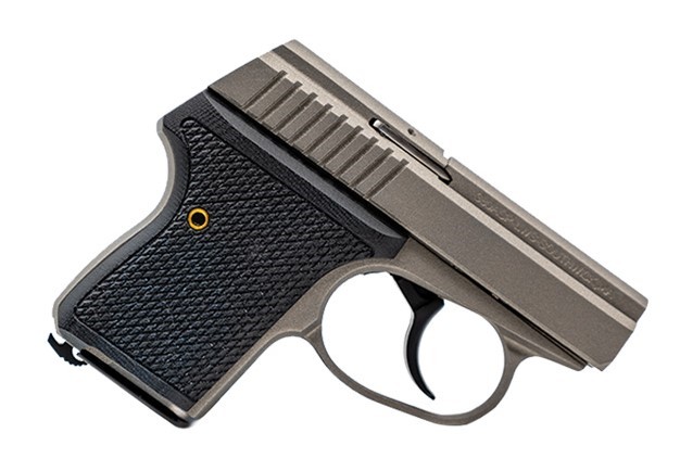 SEECAMP LWS-380 2" 380ACP GMGREY 6 3 SEECAMP LWS-380 2" 380ACP GMGREY 6