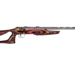 SAVAGE ARMS MARK II 22LR BOLT SS/EVO LAM # 1 markiibolt0b50