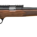 SPR 2020 CL WLNT GD A 22LR 1 w798 96927