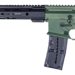 Franklin Armory 0010063ODG F17 L 17 WSM 10+1 20" Black Precision Barrel, OD Green Aluminum w/M-LOK & Picatinny Rail Receiver, Black Bravo C Stock 1 154105