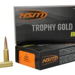 HSM 6ARC95VLD Trophy Gold Extended Range 6mm ARC 95 gr 20 Per Box/ 25 Case 2 157078