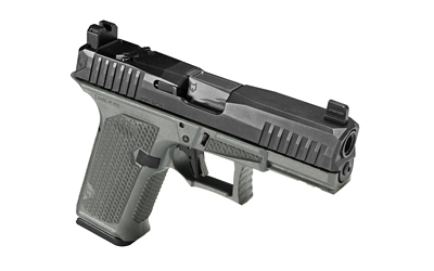 LWD DUSK 19 RMR 9MM 15RD GRAY/BLACK 5 LWD DUSK 19 RMR 9MM 15RD GRAY/BLACK - Image 3